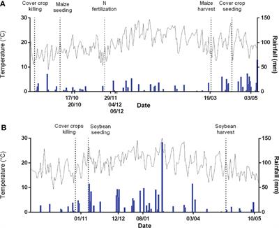 Cover Crop Species Affect N2O Emissions at Hotspot Moments of Summer Crops